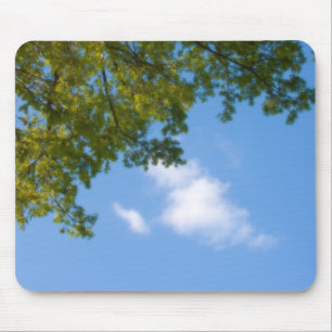 Mousepad vista do céu com topo de árvore