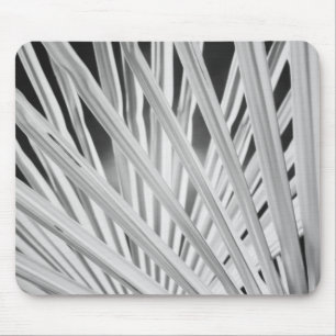 Mousepad Vista em preto e branco de folhas de palmeira