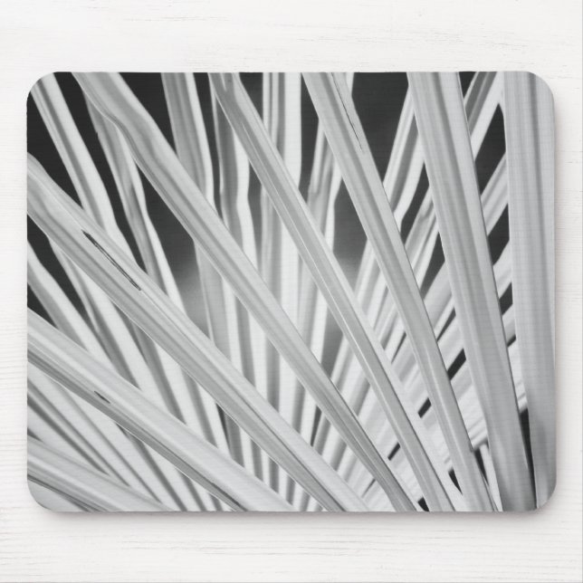 Mousepad Vista em preto e branco de folhas de palmeira (Frente)