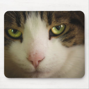 Mousepad Vista inocente