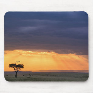 Mousepad Vista panorâmica de abutre e árvore de acácia