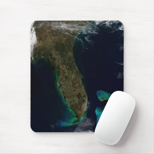 Mousepad Vista Satélite Da Flórida. (Com mouse)