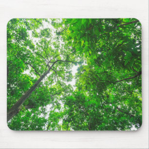 Mousepad Vista Superior de Árvores