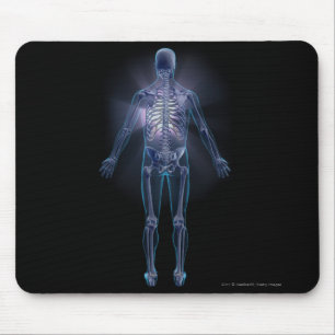 Mousepad Vista traseira de um esqueleto humano