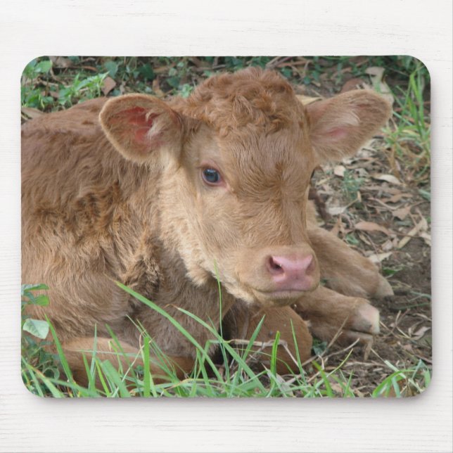 Mousepad Vitela do primavera (Frente)