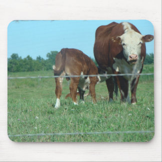 Mousepad Vitela dos cuidados