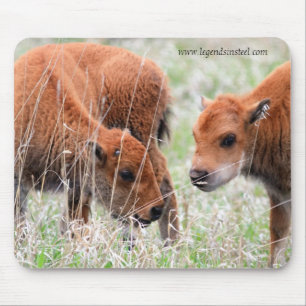 Mousepad Vitelas do bisonte