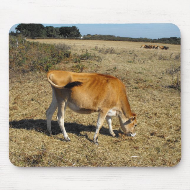 Mousepad vitelo de Jersey (Frente)