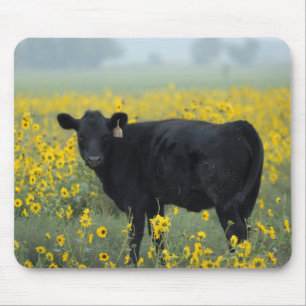 Mousepad Vitelo Negro num Campo de Girassóis