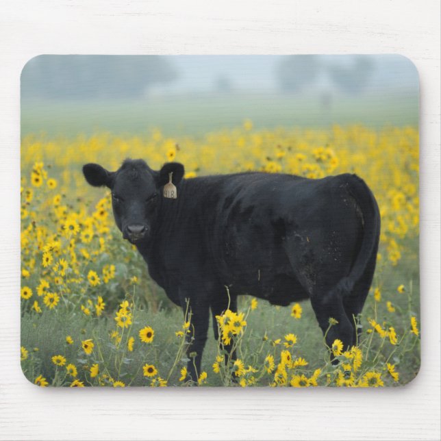 Mousepad Vitelo Negro num Campo de Girassóis (Frente)