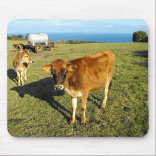 Mousepad vitelos de Jersey, Rua John, Jersey