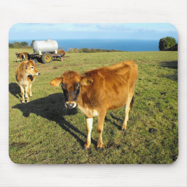 Mousepad Vitelos de Jersey, Rua John, Jersey (Frente)