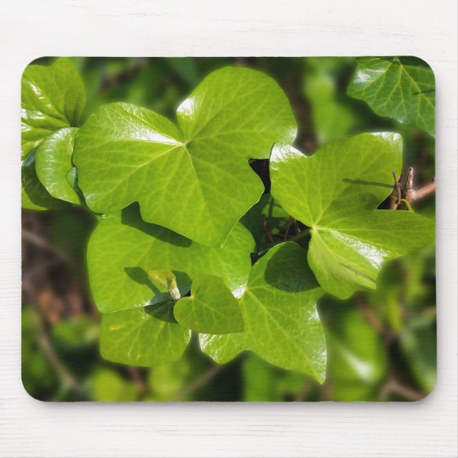 Mousepad Viver ao sol (Frente)