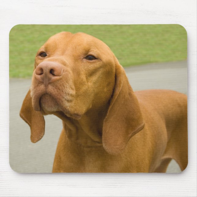 Mousepad Vizsla (Frente)