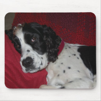 Mousepad Você é feito ainda?