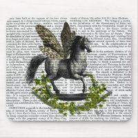 Voo 2 de Cavalo Fogueiro