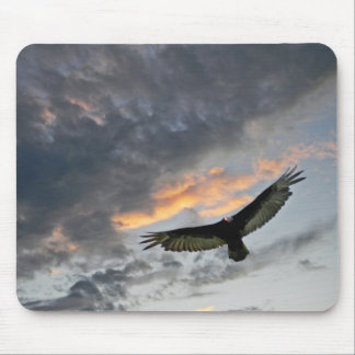Mousepad Vôo Eagle