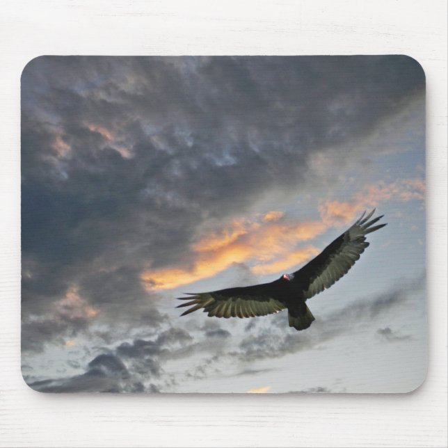 Mousepad Vôo Eagle (Frente)