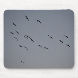 Mousepad Voo noturno