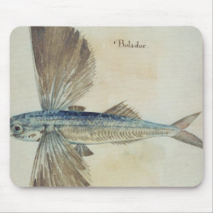 Mousepad Vôo-Peixes