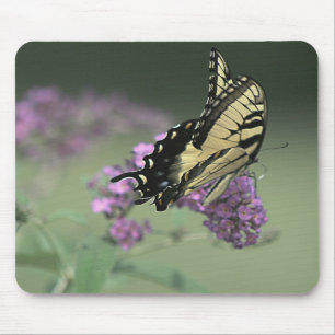 Mousepad Vôo silencioso