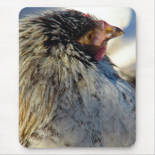 Mousepad Votar A Galinha