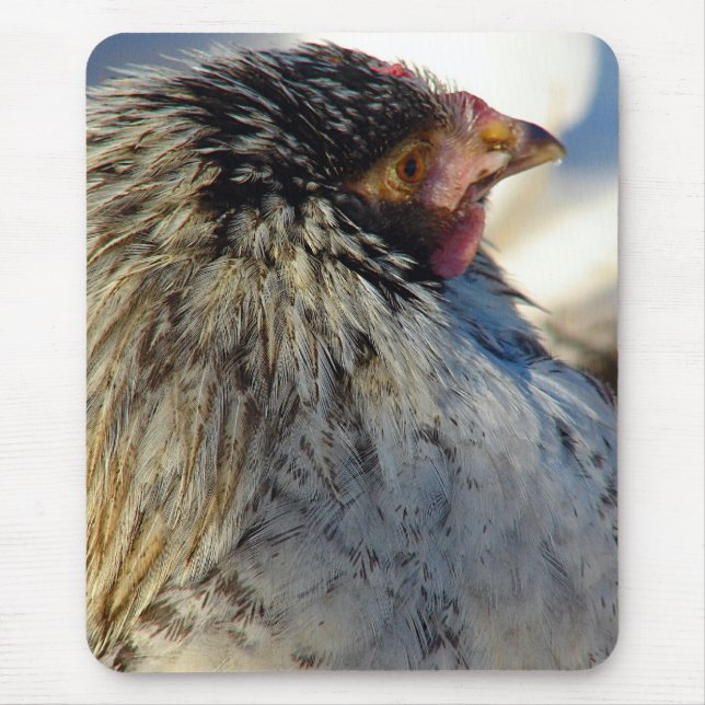 Mousepad Votar A Galinha (Frente)