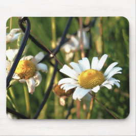 Mousepad Vrede achter het hek. In bloemen illustratief.