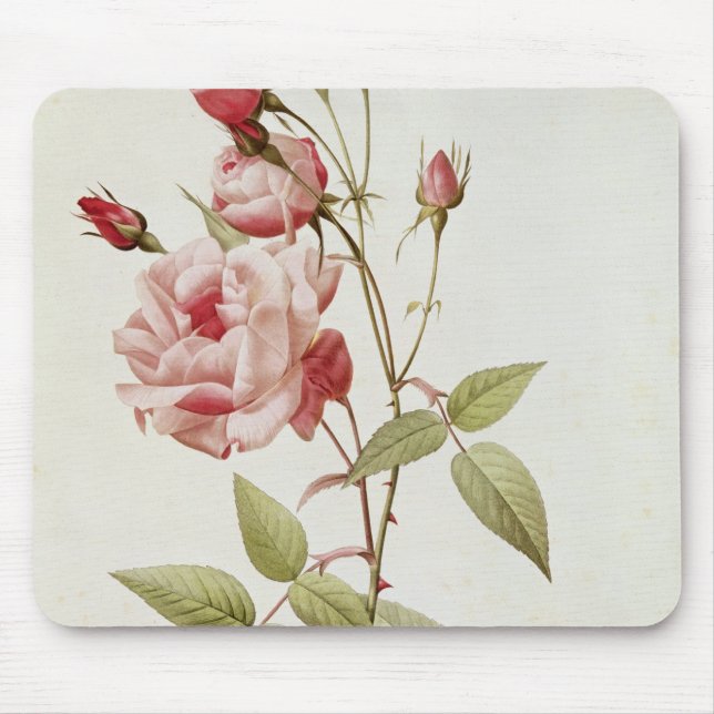 Mousepad Vulgar Indica de Rosa, 'dos rosas de Les (Frente)