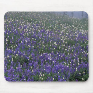 Mousepad WA, Parque Nacional Mt. Rainier, prado de Lupino e