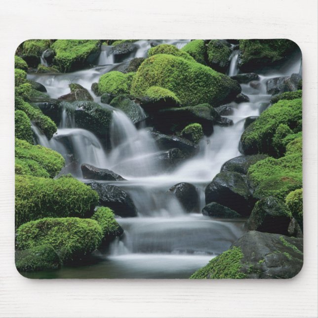 Mousepad WA, Parque Nacional Olympic, Vale de Sol Duc, riac (Frente)