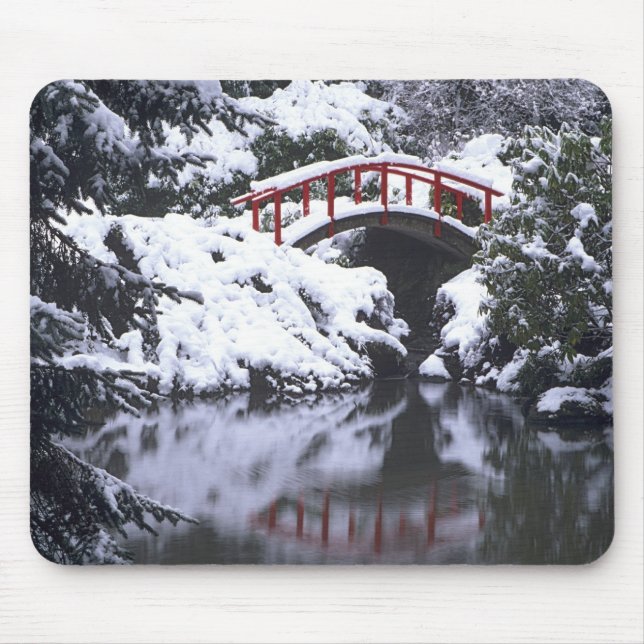 Mousepad WA, Seattle, Ponte da lua e lago após o inverno 2 (Frente)
