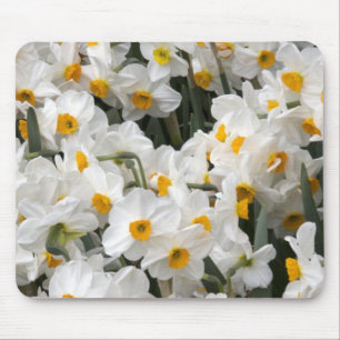 Mousepad WA, Vale do Skagit, padrão de Narciso