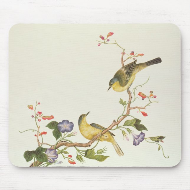 Mousepad Wagtail amarelo com cabeça azul (Frente)