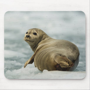 Mousepad Wary Seal