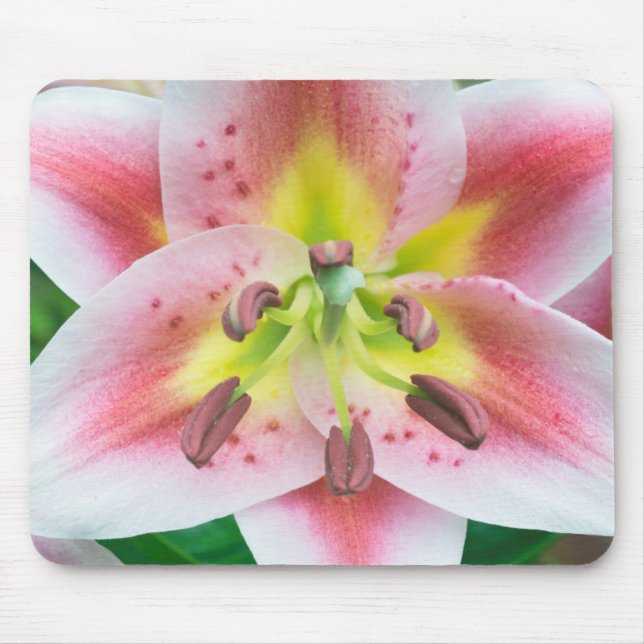 Mousepad Washington, Bellevue, Lírio (Frente)