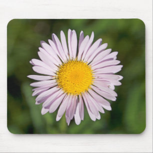 Mousepad Washington, Cordilheira das Cascatas, Monte Baker
