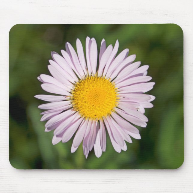 Mousepad Washington, Cordilheira das Cascatas, Monte Baker (Frente)