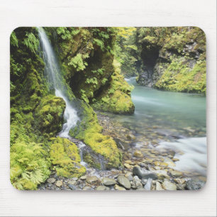 Mousepad Washington, Parque Nacional Olímpico, Sazonal