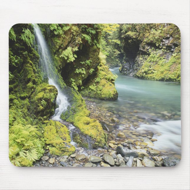 Mousepad Washington, Parque Nacional Olímpico, Sazonal (Frente)