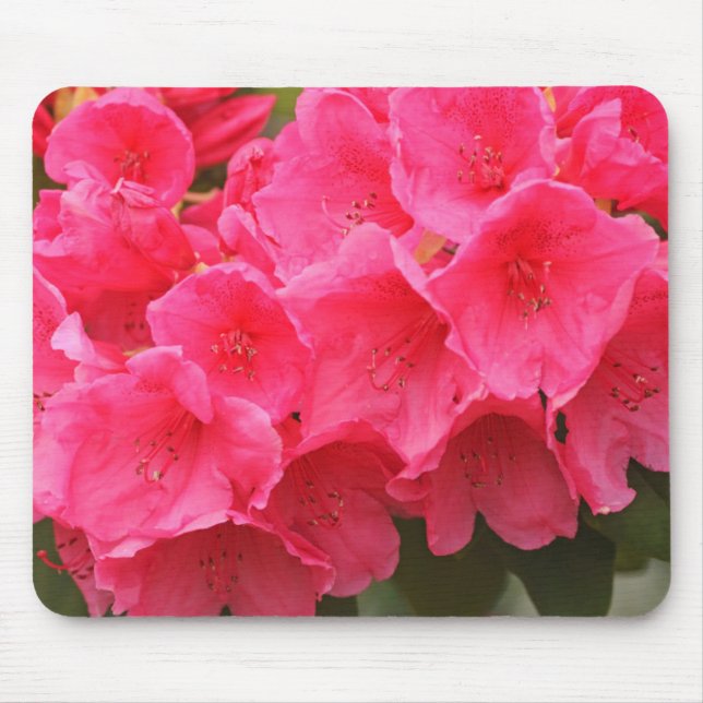 Mousepad Washington, Seattle, Puget Sound, Discovery Park (Frente)