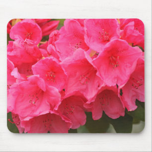 Mousepad Washington, Seattle, Puget Sound, Parque Discovery