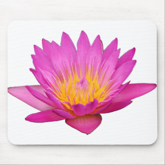 Mousepad Waterlily magenta 2