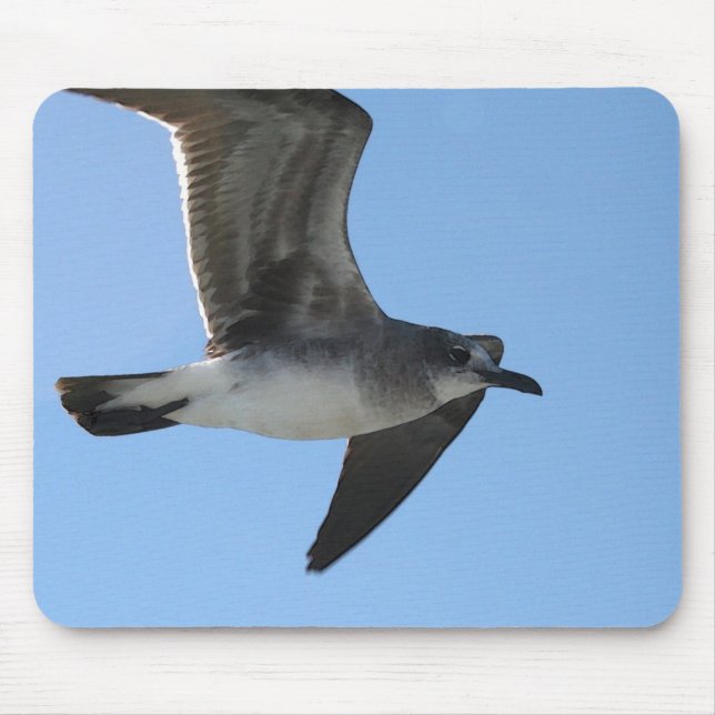 Mousepad WC da gaivota 1 do PM 6482 (Frente)