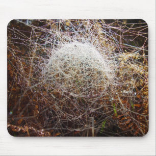 Mousepad Web do rato de aranha-do-aranha-martomo