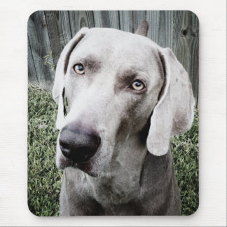 Mousepad Weimaraner