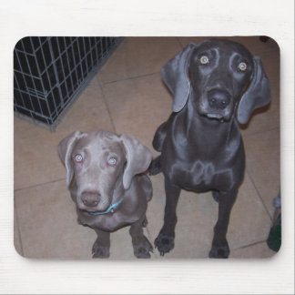 Mousepad weimeraners
