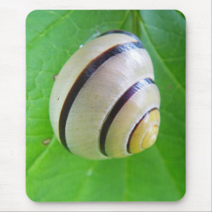 Mousepad Weiß-braune Schnecke