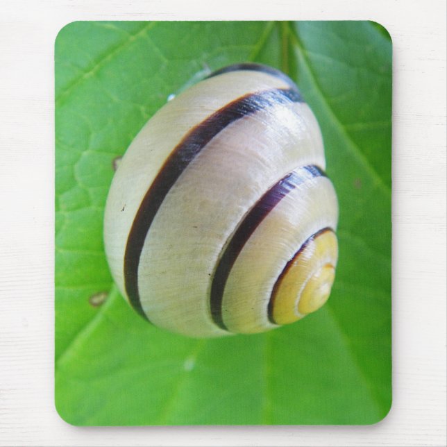 Mousepad Weiß-braune Schnecke (Frente)