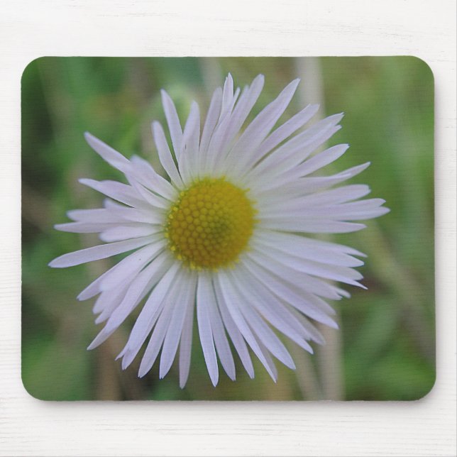 Mousepad weisse Wildblüte (Frente)